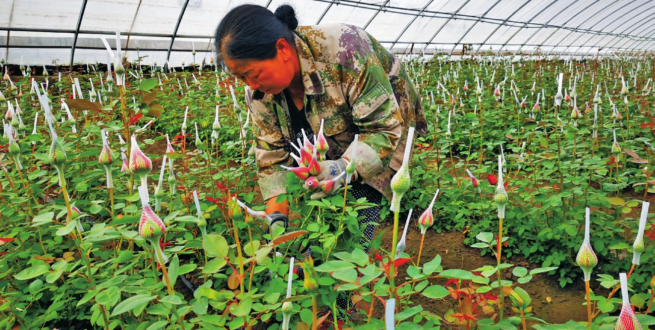 白城：全力啃下“硬骨头” 决战决胜奔小康