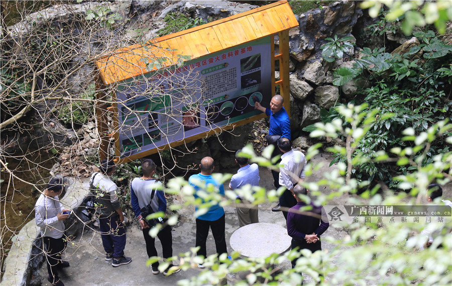 高清组图：广西融安生态旅游助脱贫