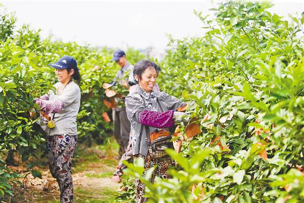 【区县联动】【潼南】潼南 绿色就是真金白银