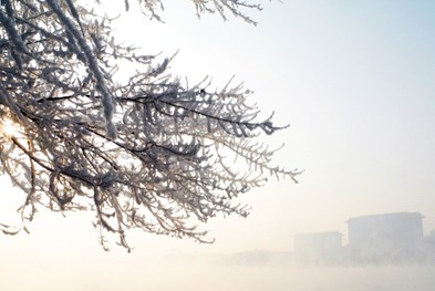 吉林雾凇是全国持续时间最长、出现次数最多的独特自然景观