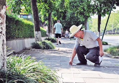 【区县联动】【永川】永川区市政局集中整治让盲道不再“盲”