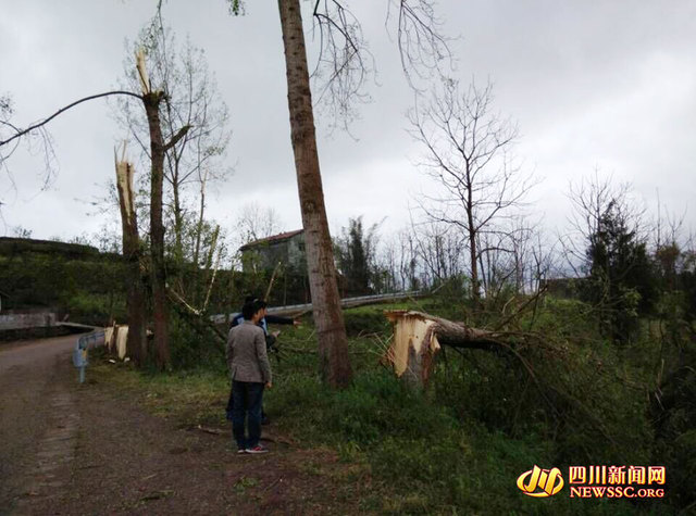 四川武胜13级大风致7人死亡37人受伤