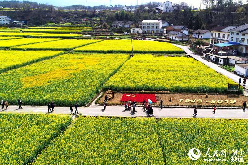 五星红旗映耀油菜花田 乡村旅游涵养爱国情怀