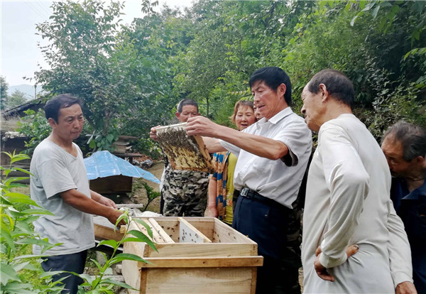 汉中市佛坪县：脱贫攻坚干在实处 走在前列