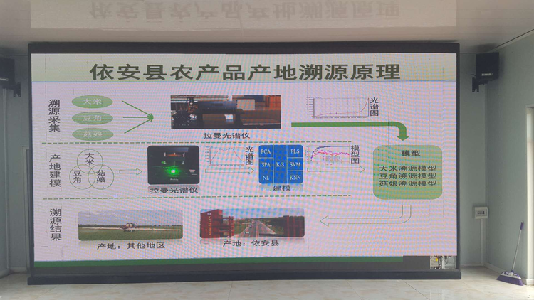 齐齐哈尔市依安县：让数字活起来动起来