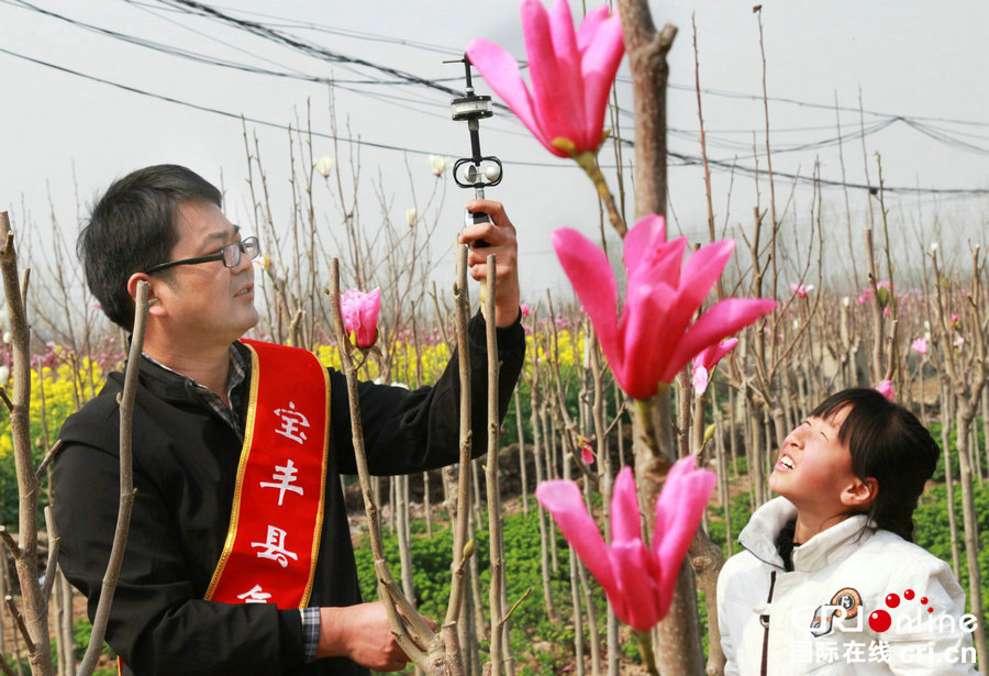 【河南供稿】河南宝丰市民赏花踏春 乐享科普大餐