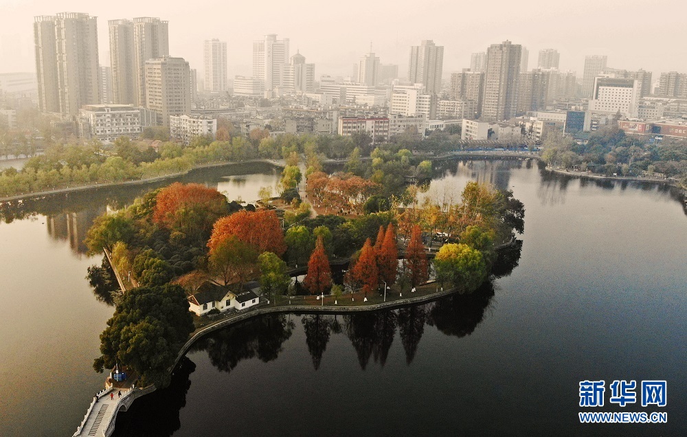 冬日紫阳湖：湖光树影 绚烂多姿