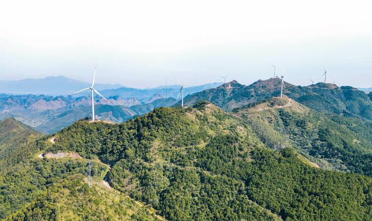 城乡面貌换新颜 科学发展谱新篇——南宁市武鸣区太平镇围绕强首府战略创新发展