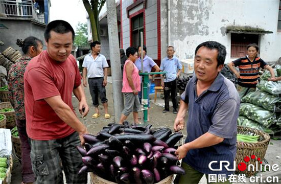 【区县联动】【潼南】潼南：每天700吨蔬菜供应主城“菜篮子”【区县联动】潼南每天700吨蔬菜供应主城“菜篮子”