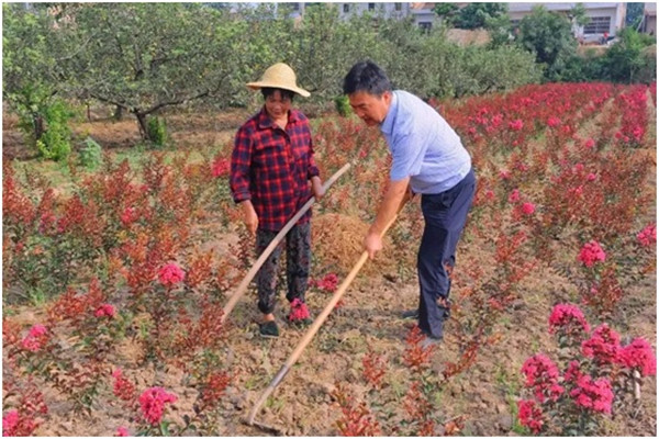 秦汉新城以产业助脱贫 提升扶贫“造血”功能