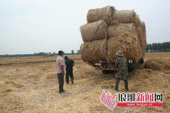 【生态山东-文字列表】【走遍山东-临沂】临沂强化农业源污染防治 秸秆利用率近九成