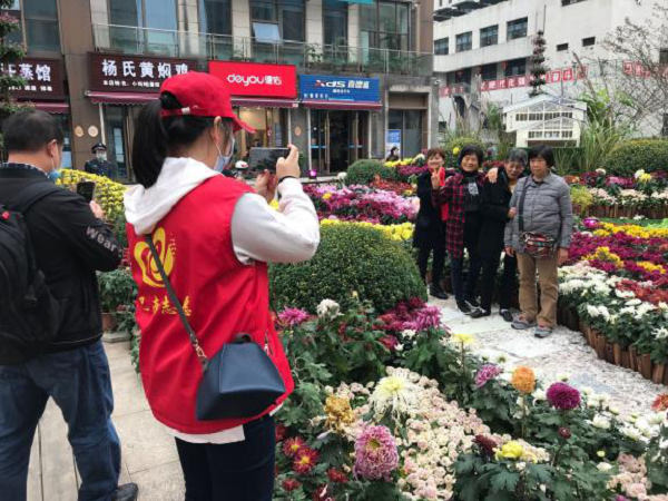 重庆巴南区：菊花展上“志愿红”成为“文明风景线”