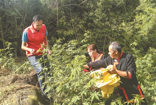 “农旅联姻”奔富路