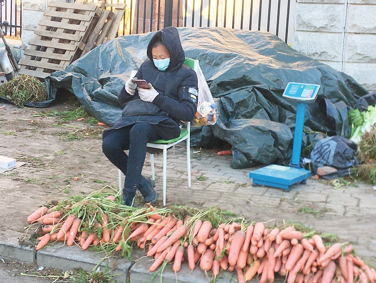 囤秋菜 一场渐行渐远的“秋日盛宴”