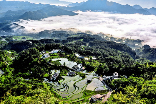 贵州遵义：桐梓尧龙山　诗意美景引客来