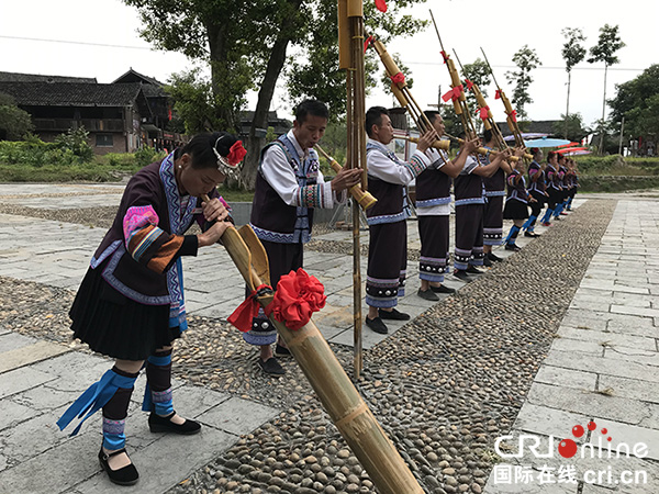 柳州融水梦呜苗寨：农旅结合 以旅促农