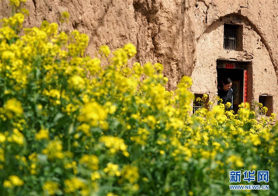 河南洛宁：春日寻芳 多彩山乡