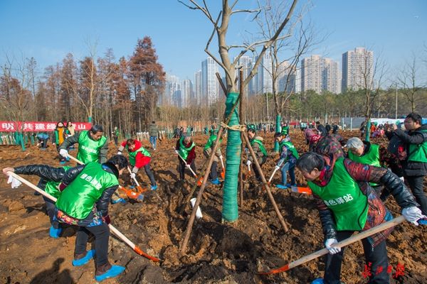 武汉开展今冬首场义务植树 可获碳汇价值兑换园博园门票