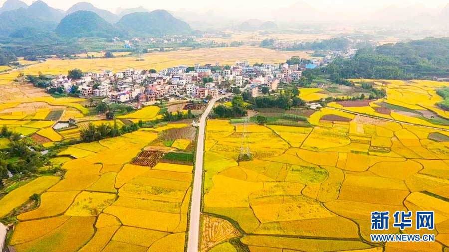 【“飞阅”中国】遍地金黄“丰”景如画