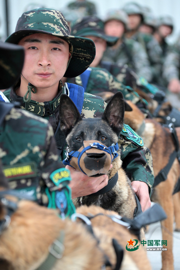 解放军特种部队军犬首次参加机降演练