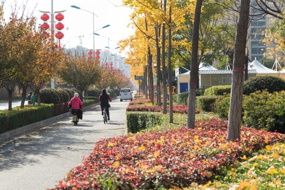 17个绿化项目按时按质竣工 西安航空基地全面推进城市绿化建设 提升绿化惠民成果