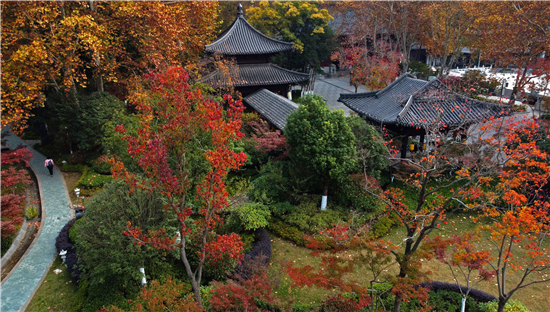 南京市栖霞山红枫节精彩继续 邀游客探寻草药文化