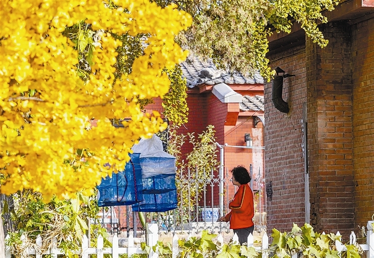 大连太阳沟最美季