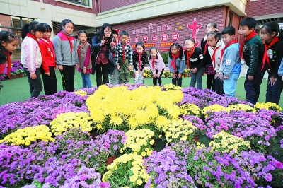 南京小学举办校园菊花展