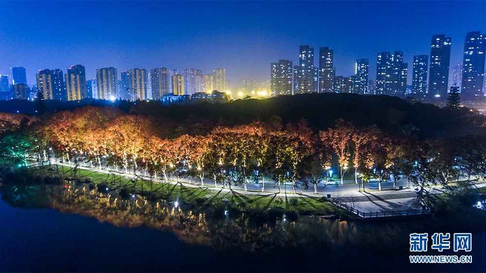 静夜东湖 绚丽绿道