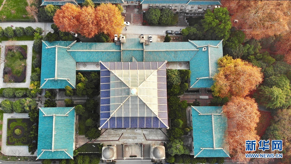 航拍初冬武汉大学 各色树木与校园古建相映成景