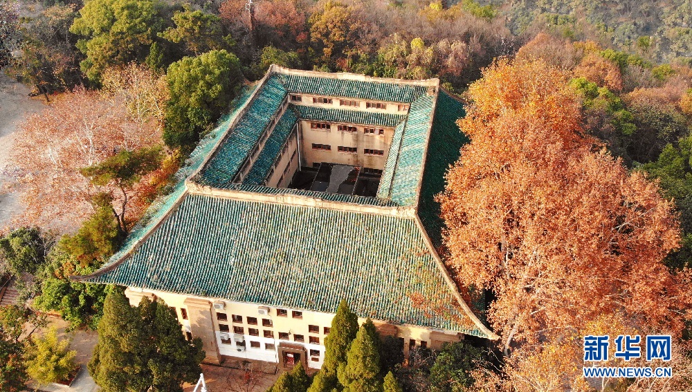 航拍初冬武汉大学 各色树木与校园古建相映成景