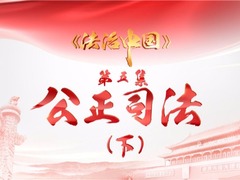 《法治中国》 第五集《公正司法》（下）预告片_fororder_014