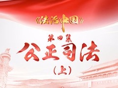 《法治中国》 第四集 公正司法（上）_fororder_015