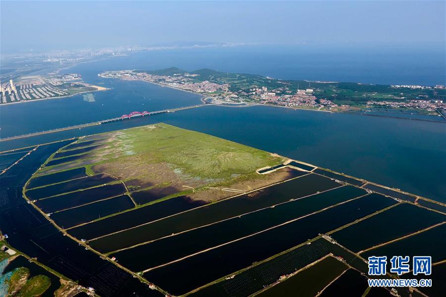 鸟瞰烟台养马岛