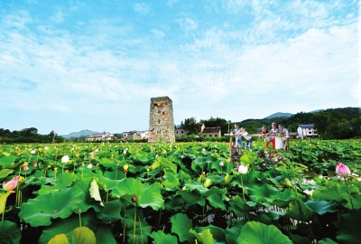 【文旅中原列表】信阳：以全域旅游引领生态发展之路