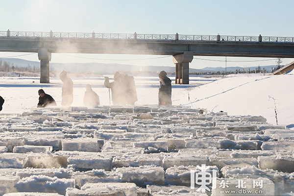 “北极漠河冰雪大观园”开始采冰