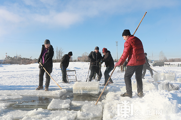 “北极漠河冰雪大观园”开始采冰