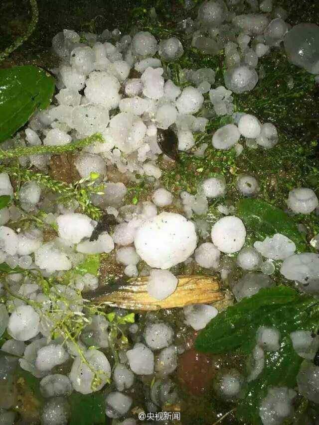 河南洛阳等地突降冰雹大如鸡蛋