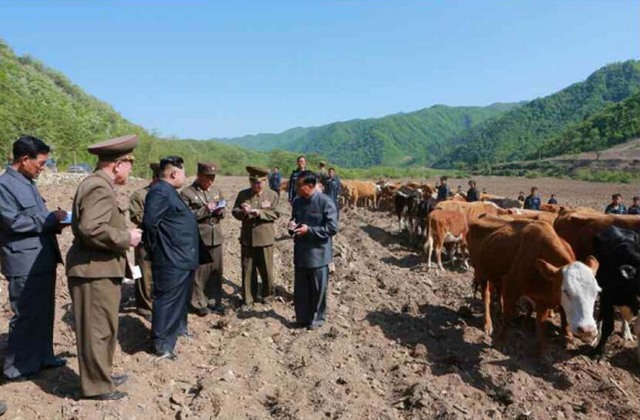 金正恩视察养鱼场和牧场 强调培育优良品种