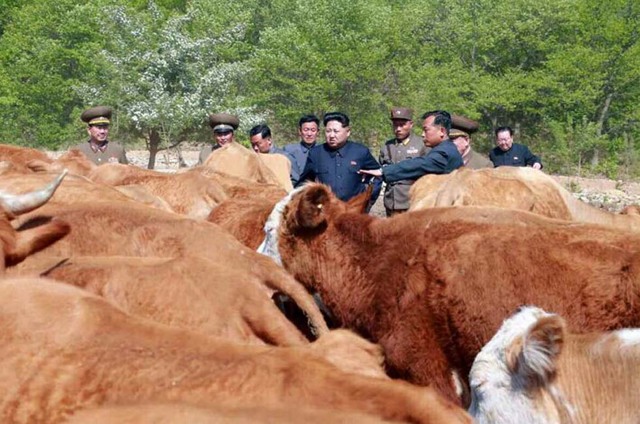 金正恩视察养鱼场和牧场 强调培育优良品种