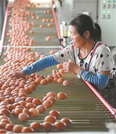 （食品）专家建议设立畜禽禁养区让养殖和种植有机匹配