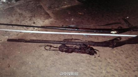 云南大熊猫遭猎杀 警方查获一张皮约20斤肉