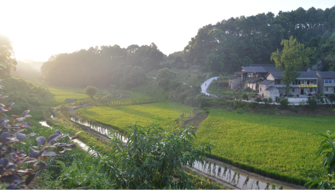 重庆巴南区天星寺镇着力打造“山水芙蓉”农文旅项目 助推乡村振兴