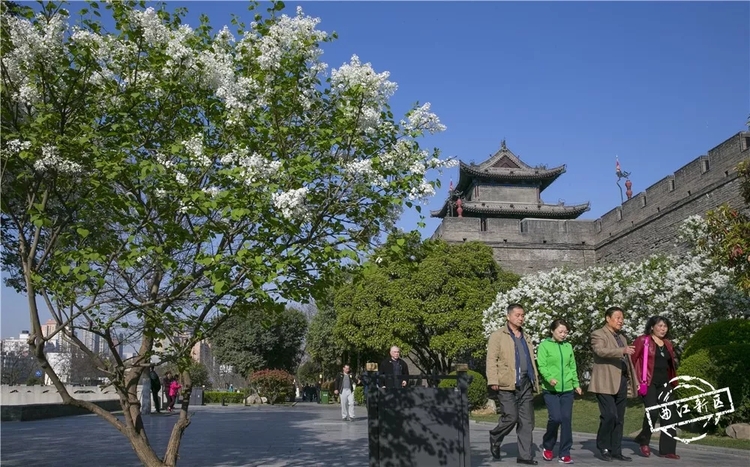 如果疫情消失了，我想去……