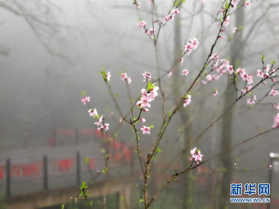 安徽：雾漫齐云山