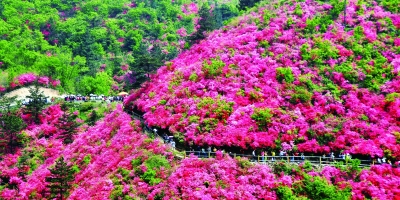 第十六届木兰文化旅游节3月30日启幕