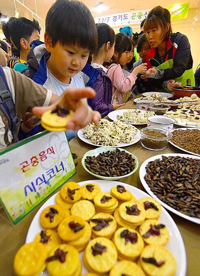 韩国展出“昆虫曲奇” 重口味吸引好奇观众