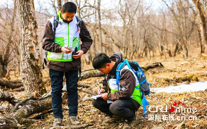 09【吉林】【供稿】【CRI看吉林（标题）】【社会民生（标题）】【生态吉林（标题）】【关东黑土（长春）】【移动版（图）】第四届东北虎栖息地巡护员竞技赛在延边珲春落幕