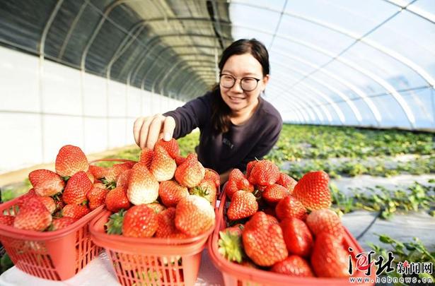 定州打造特色高效、生态观光农业