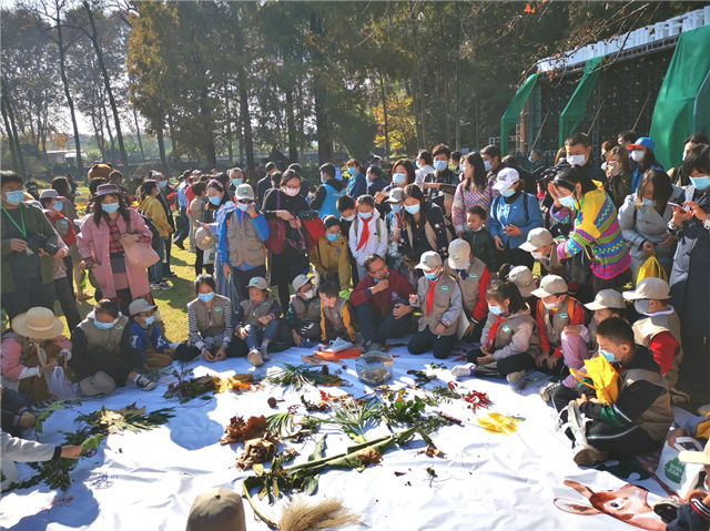 湖北青少年进森林研学教育活动（武汉站）启动